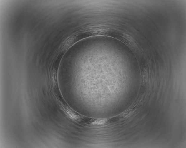 X0000052640138200507082015