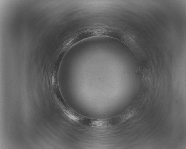 X0000052640139200507082015