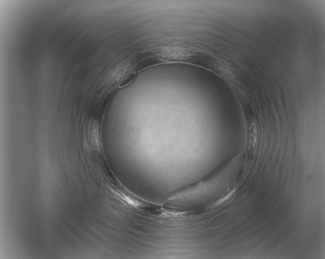 X0000052640143200507082015