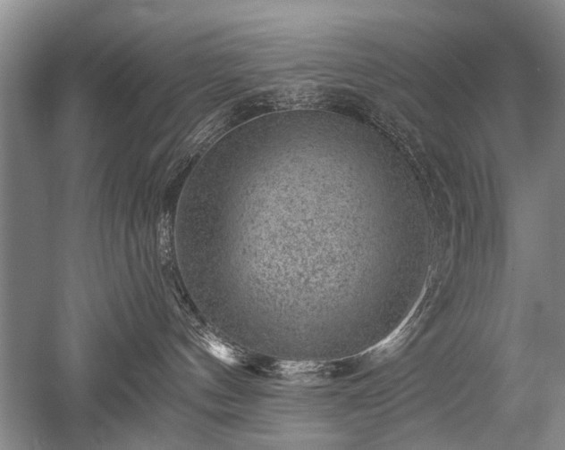 X0000052640144200507082015