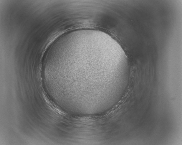 X0000052640146200507082014