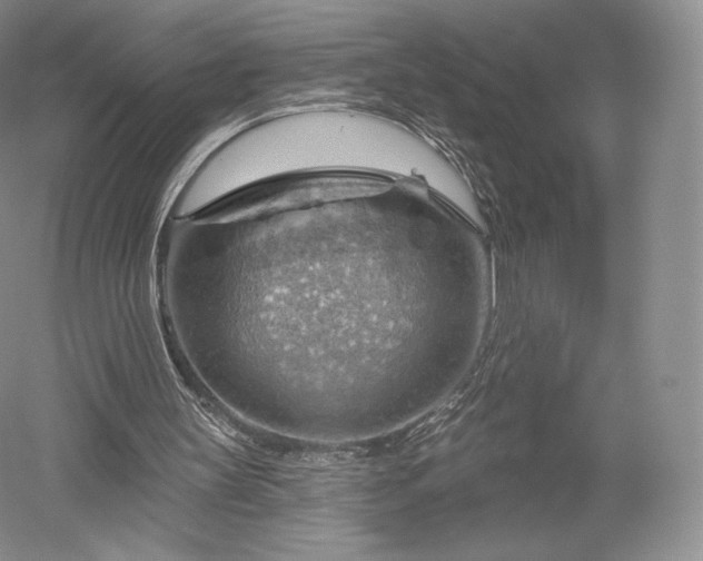 X0000052640147200507082014