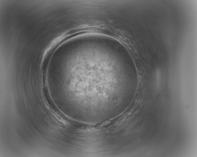 X0000052640149200507082014