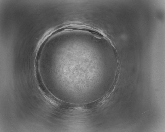 X0000052640151200507082014