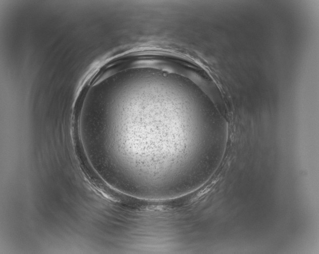 X0000052640152200507082014