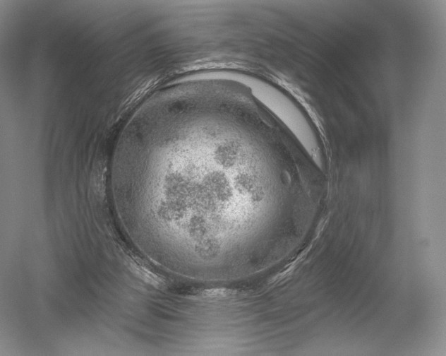 X0000052640153200507082014