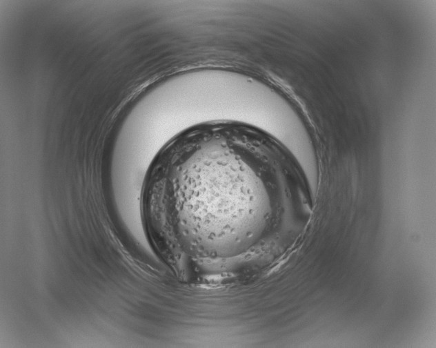 X0000052640154200507082014