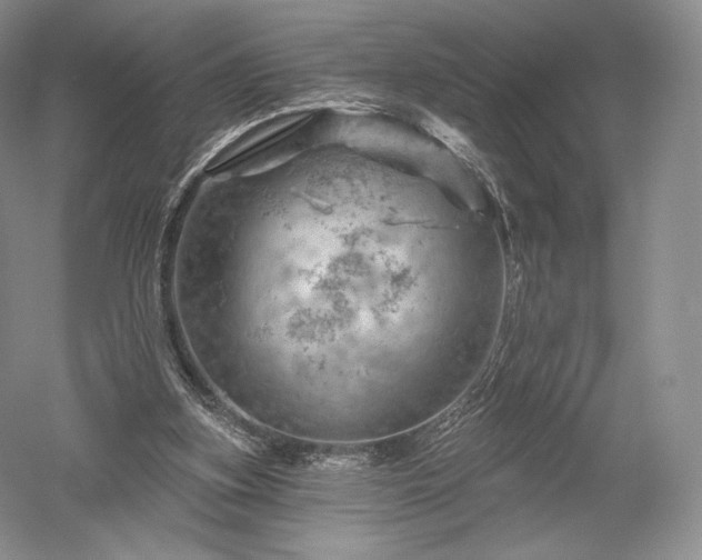 X0000052640155200507082014