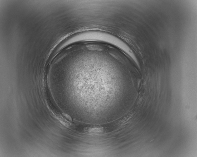 X0000052640156200507082014