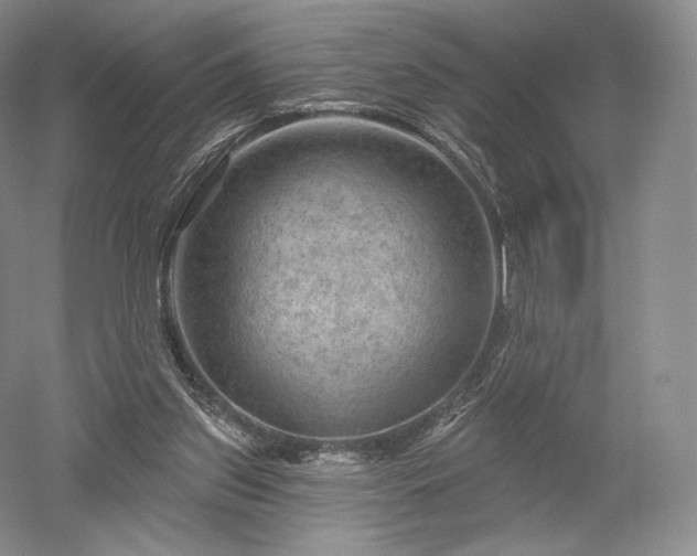 X0000052640157200507082014