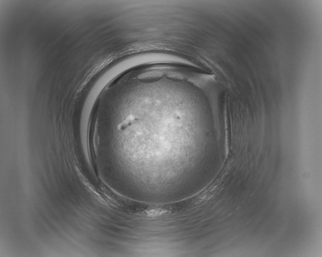 X0000052640158200507082015