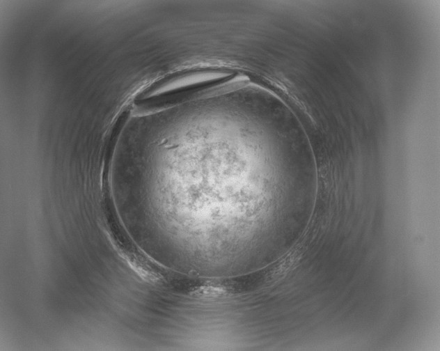 X0000052640159200507082015