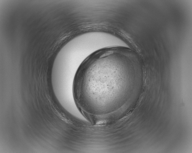 X0000052640161200507082015