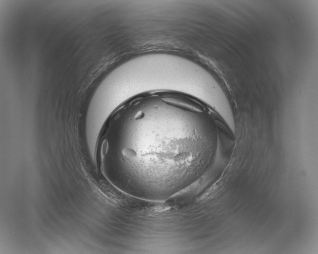 X0000052640162200507082015