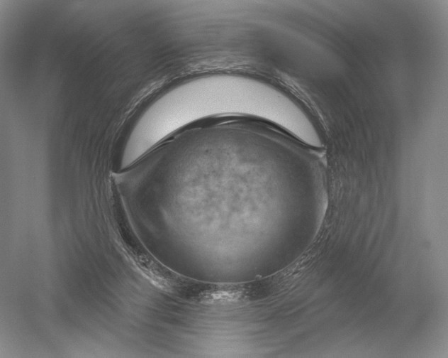 X0000052640163200507082015