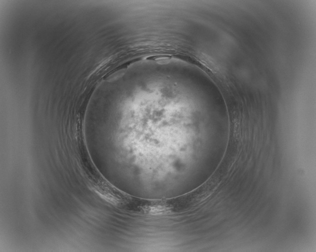 X0000052640165200507082015