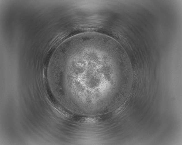 X0000052640166200507082015