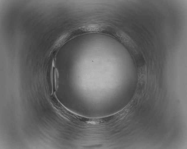 X0000052640167200507082015