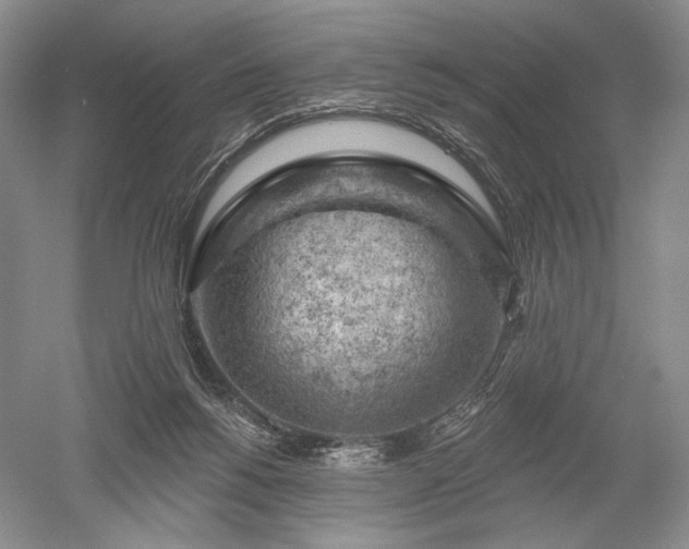 X0000052640168200507082015