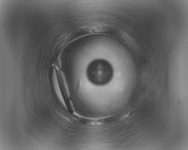 X0000052640169200507082015