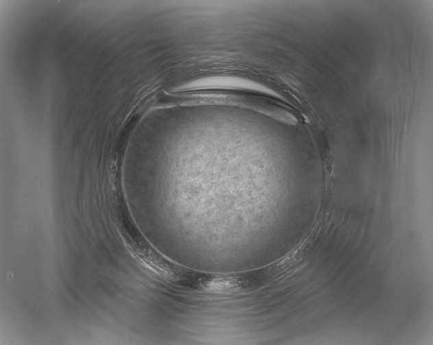 X0000052640171200507082015