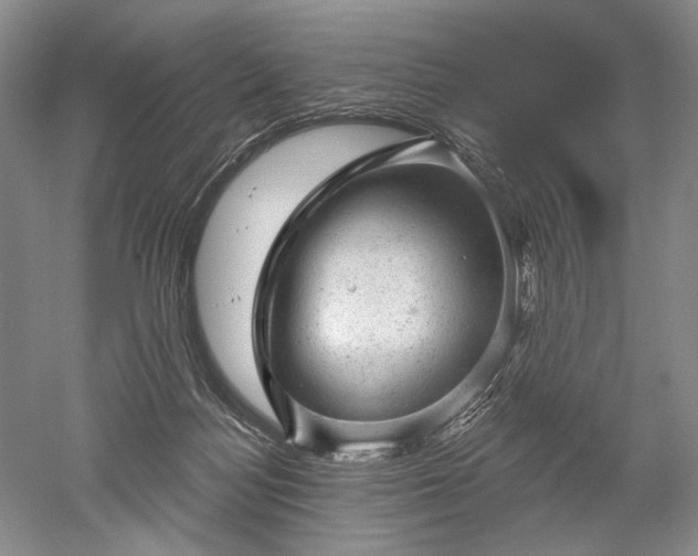 X0000052640172200507082015