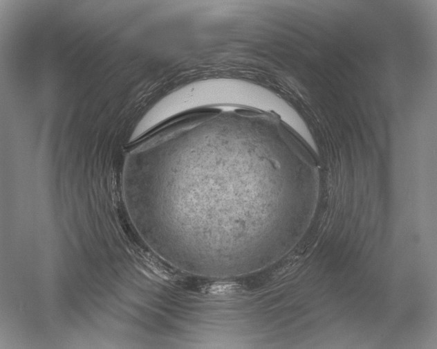 X0000052640173200507082015