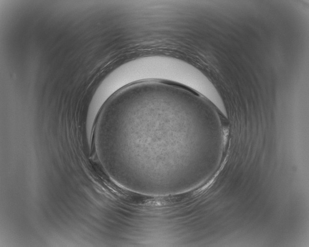 X0000052640174200507082015