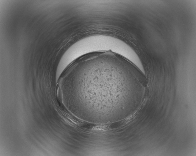 X0000052640175200507082015