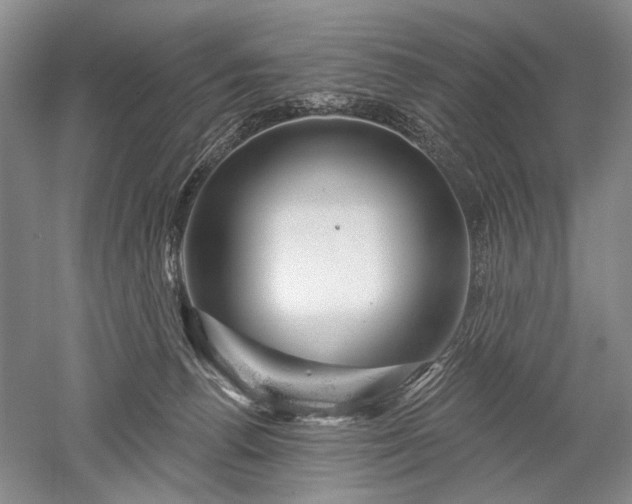 X0000052640176200507082015