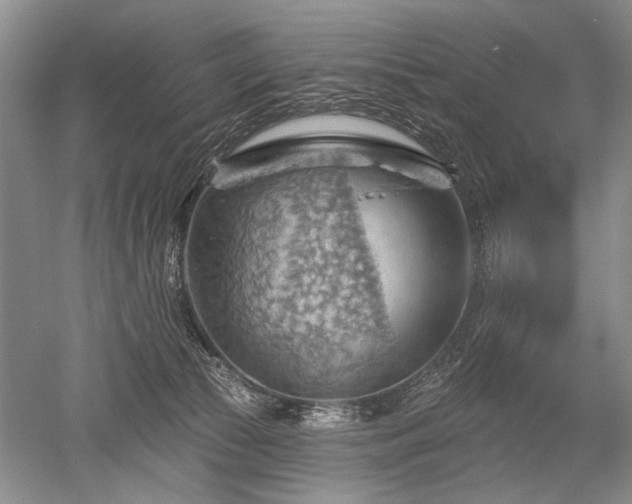 X0000052640177200507082015