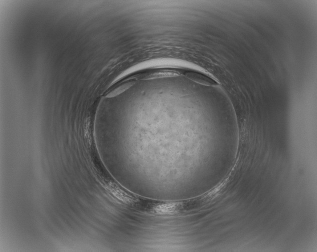 X0000052640178200507082015