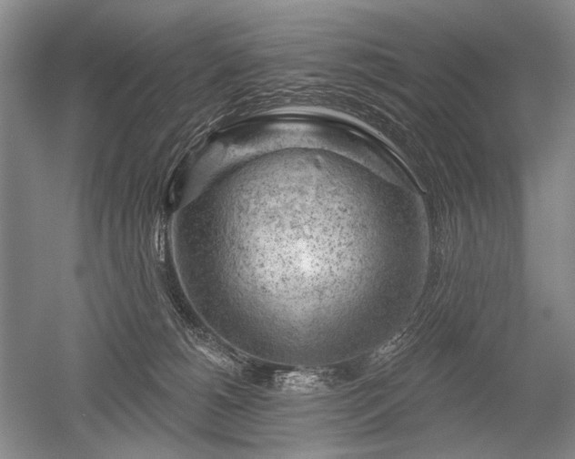 X0000052640180200507082015