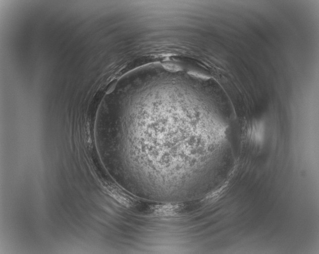 X0000052640182200507082015