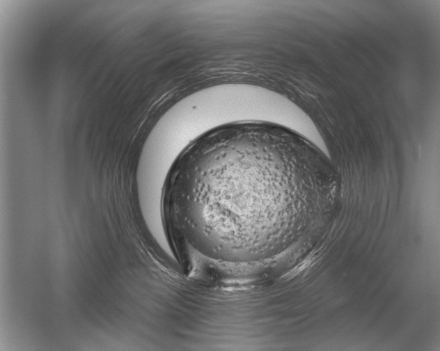 X0000052640188200507082015
