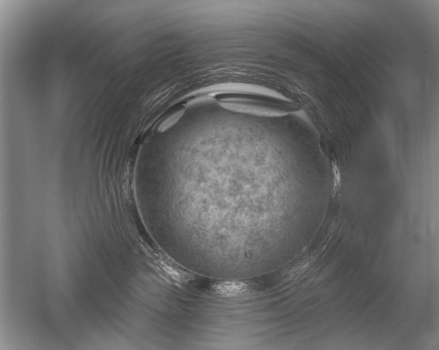 X0000052640189200507082015