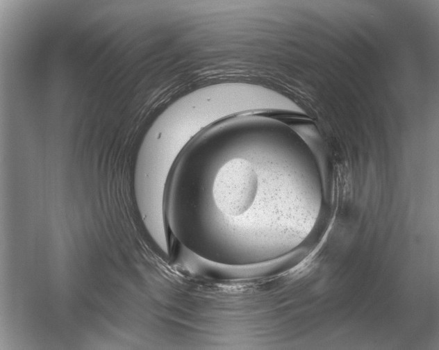 X0000052640190200507082015