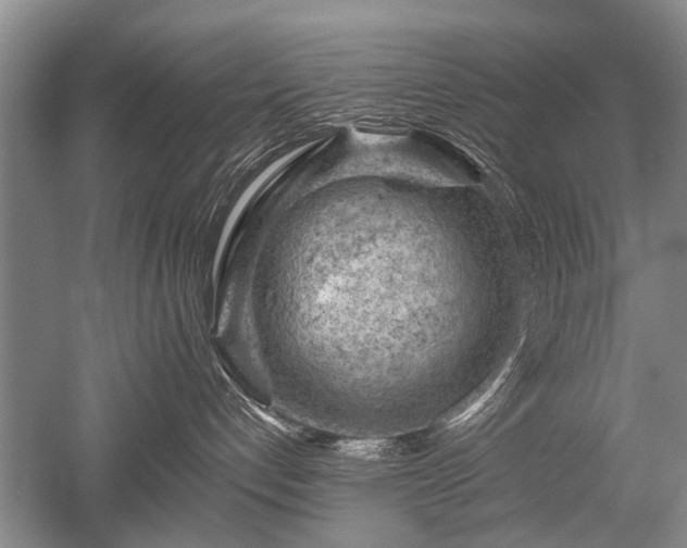 X0000052640192200507082015