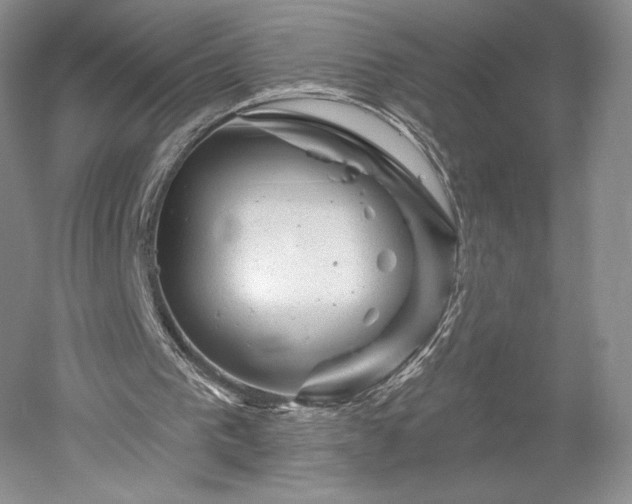 X0000052640193200507082014