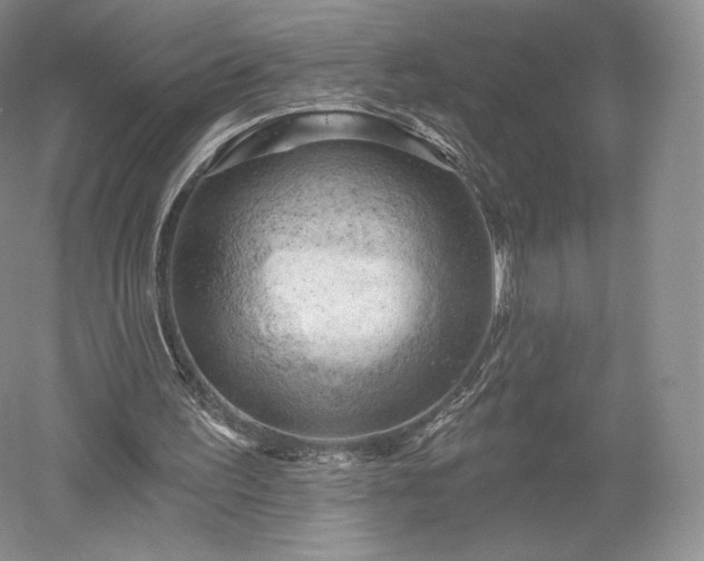 X0000052640195200507082014