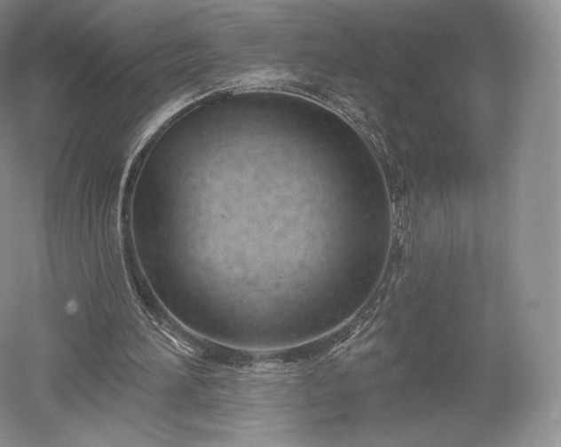 X0000052640196200507082014