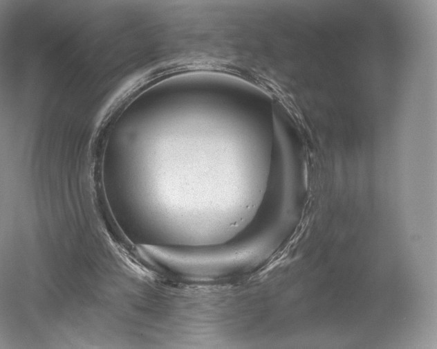 X0000052640197200507082014