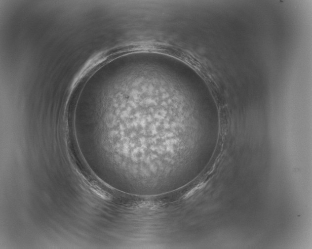 X0000052640198200507082014