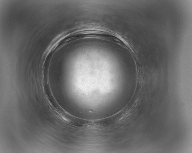 X0000052640199200507082014