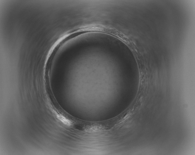 X0000052640200200507082014