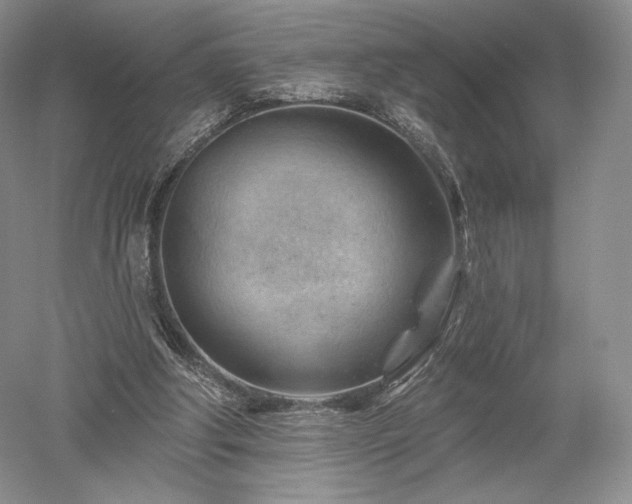 X0000052640202200507082014