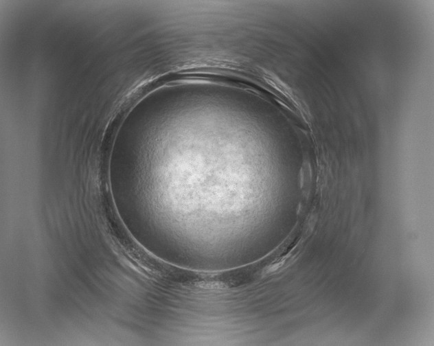 X0000052640203200507082014