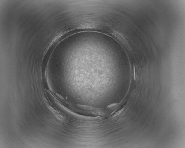 X0000052640204200507082014