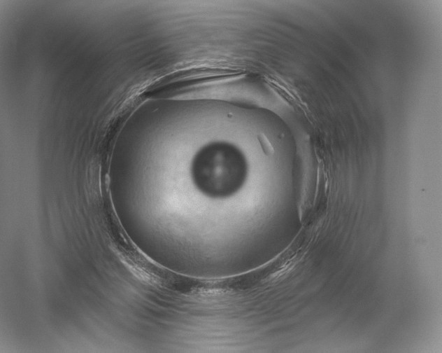 X0000052640205200507082014