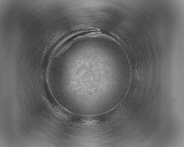 X0000052640206200507082014